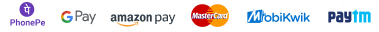 payment icon